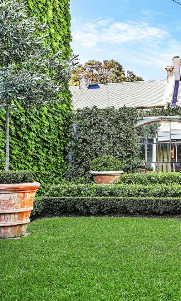 Symmetrical green boxwood hedges and a large potted shrub set against a thick ivy-covered wall.