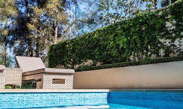 A dense, perfectly trimmed green privacy hedge bordering an estate lawn.